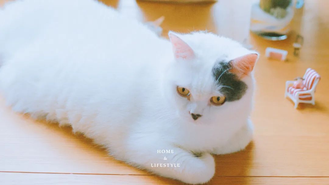 副业赚钱_下班后写公众号,日更66天,突然爆出7.8万+,让我发现了公众号写作的流量密码和“长尾效应”!(超长干货,建议收藏)_副业教程 副业赚钱_下班后写公众号,日更66天,突然爆出7.8万+,让我发现了公众号写作的流量密码和“长尾效应”!(超长干货,建议收藏)_副业教程