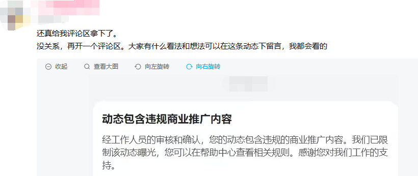 副业赚钱_粉丝“包养”Up主，真的能拯救B站吗？_副业教程