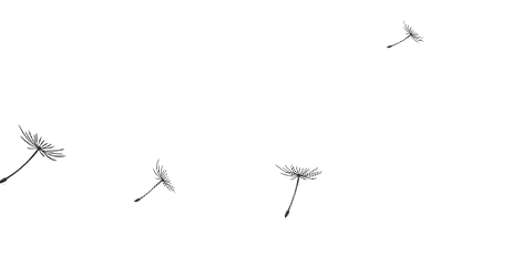 副业赚钱_让我们遨游知识海洋的手机软件——CSDN_副业教程 副业赚钱_让我们遨游知识海洋的手机软件——CSDN_副业教程