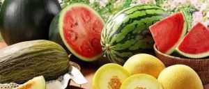 副业赚钱_夏天常吃瓜，中药不用抓！夏季如何健康吃瓜？这份攻略请收好_副业教程-逸佳笔记-专注于副业赚钱教程