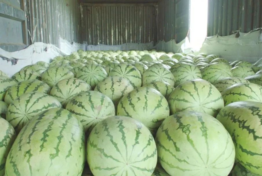 副业赚钱_来这里开启吃瓜模式_副业教程