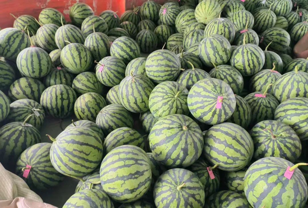 副业赚钱_【铜陵头条0613】2024年铜陵普高招生计划出炉！|最高35℃！注意防暑降温！|建议取消衡山大道停车位？回复来了！_副业教程