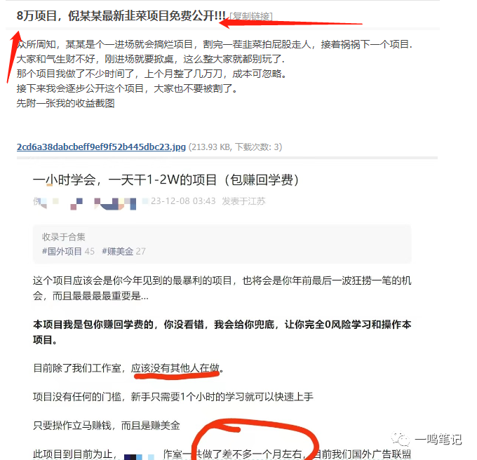 副业赚钱_吃个瓜，几万的可以项目你报名吗！！！_副业教程