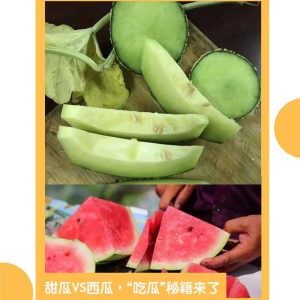 副业赚钱_“吃瓜”有秘籍！_副业教程-逸佳笔记-专注于副业赚钱教程