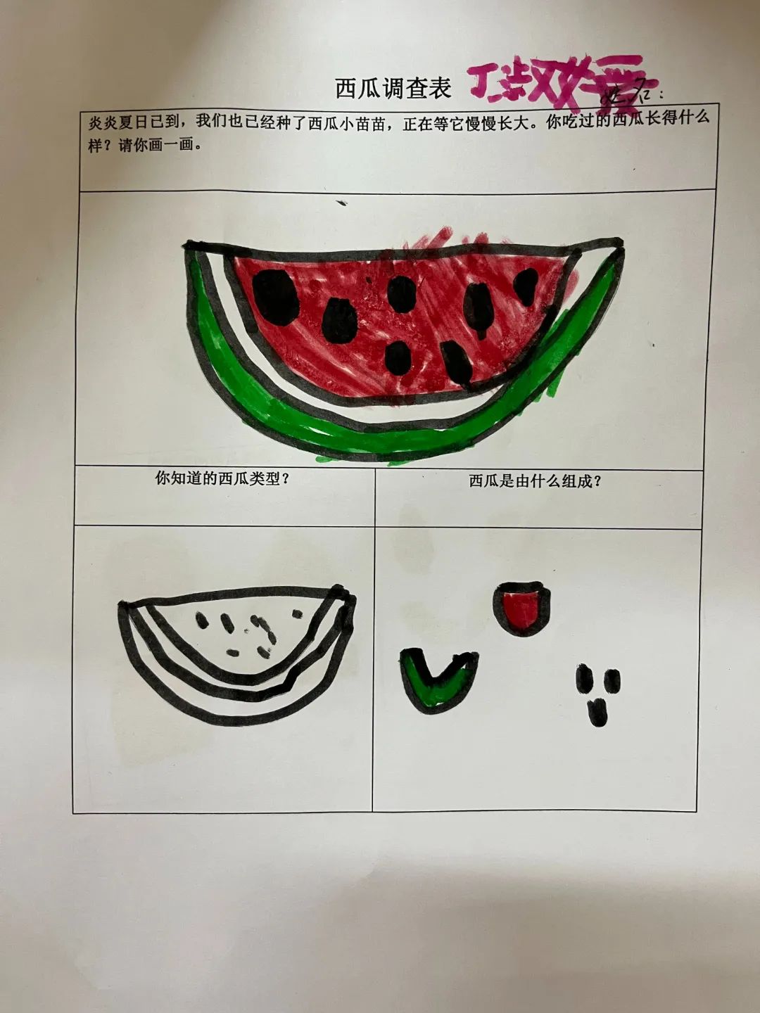 副业赚钱_【食育微项目】夏耘：夏日吃“瓜”乐_副业教程