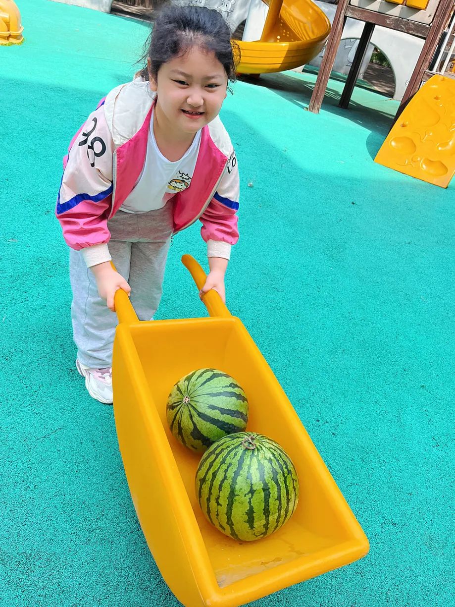 副业赚钱_【食育微项目】夏耘：夏日吃“瓜”乐_副业教程