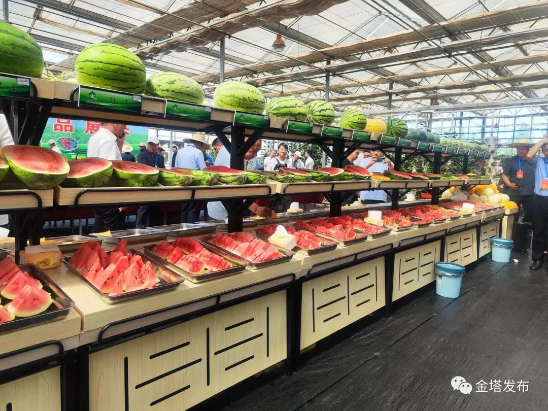 副业赚钱_以瓜为媒 共赴“甜蜜”之约——金塔县第二届西甜瓜产业发展大会侧记_副业教程