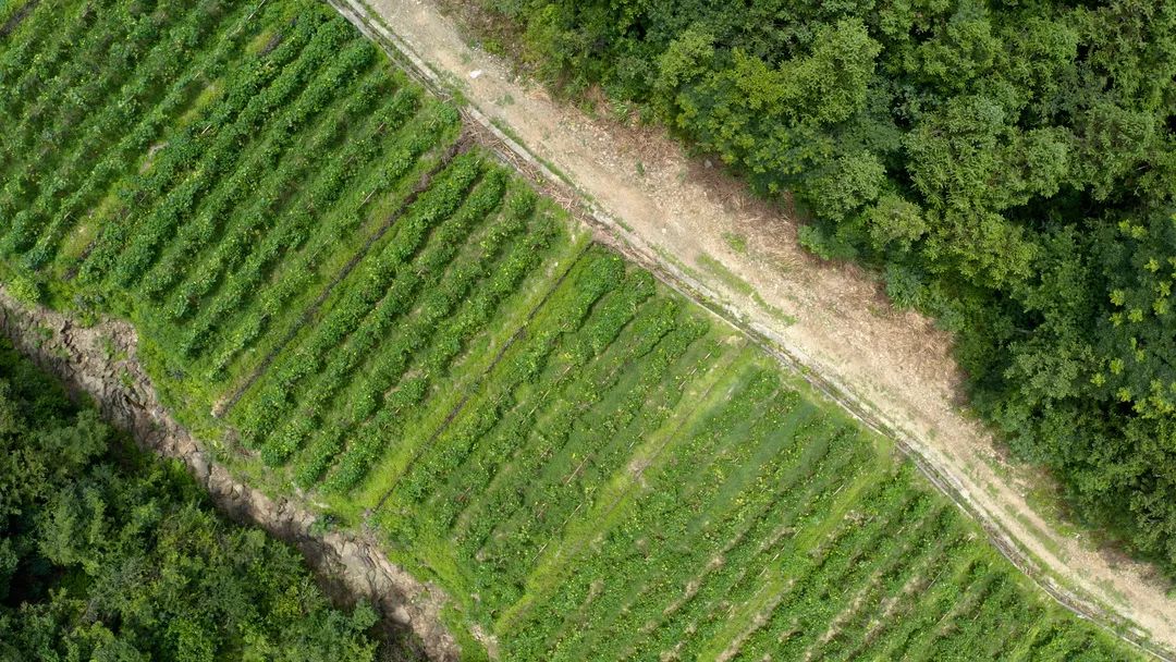 副业赚钱_共同富裕 杭州有力量 | 我们一起来“吃瓜”，一起呱呱呱~_副业教程