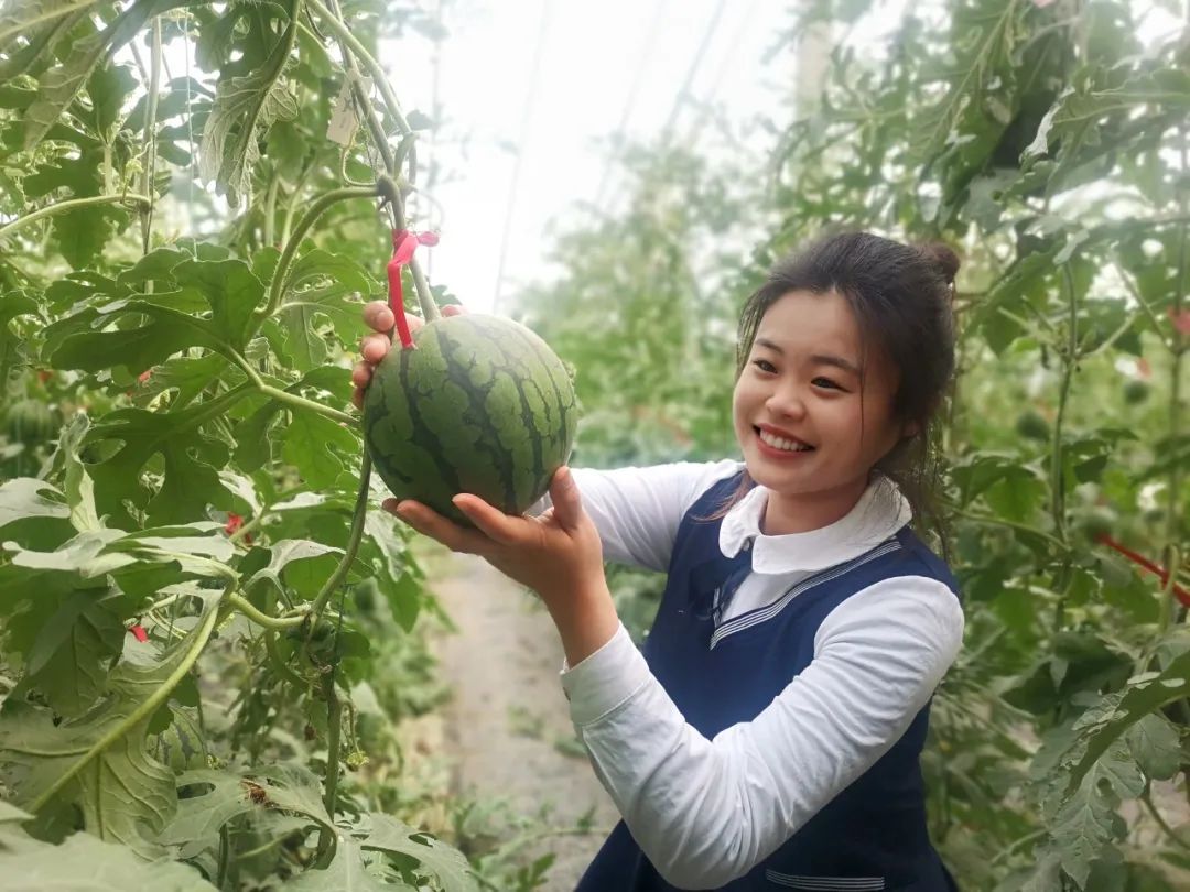 副业赚钱_这里的西瓜熟了，鲜甜多汁还可以采摘，快来做个“吃瓜群众”！_副业教程