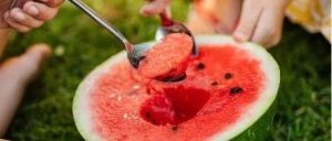 副业赚钱_许昌鲜之达西瓜节，邀你当个开心的吃“瓜”群众_副业教程-逸佳笔记-专注于副业赚钱教程