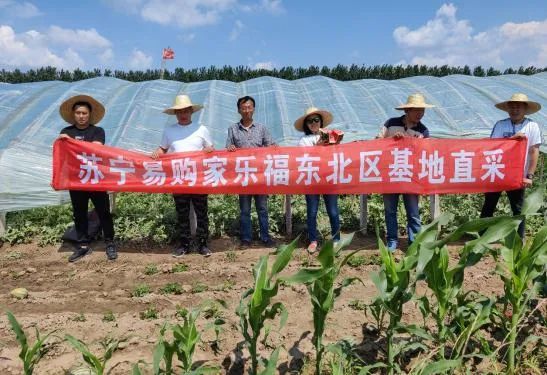副业赚钱_夏季吃瓜正当时，来大连家乐福买沁爽甜西瓜！_副业教程