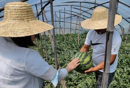 副业赚钱_夏季吃瓜正当时，来大连家乐福买沁爽甜西瓜！_副业教程